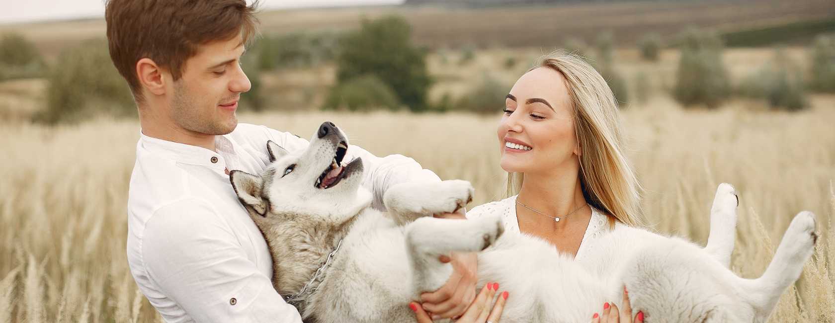 barkshop-storesblogs-image